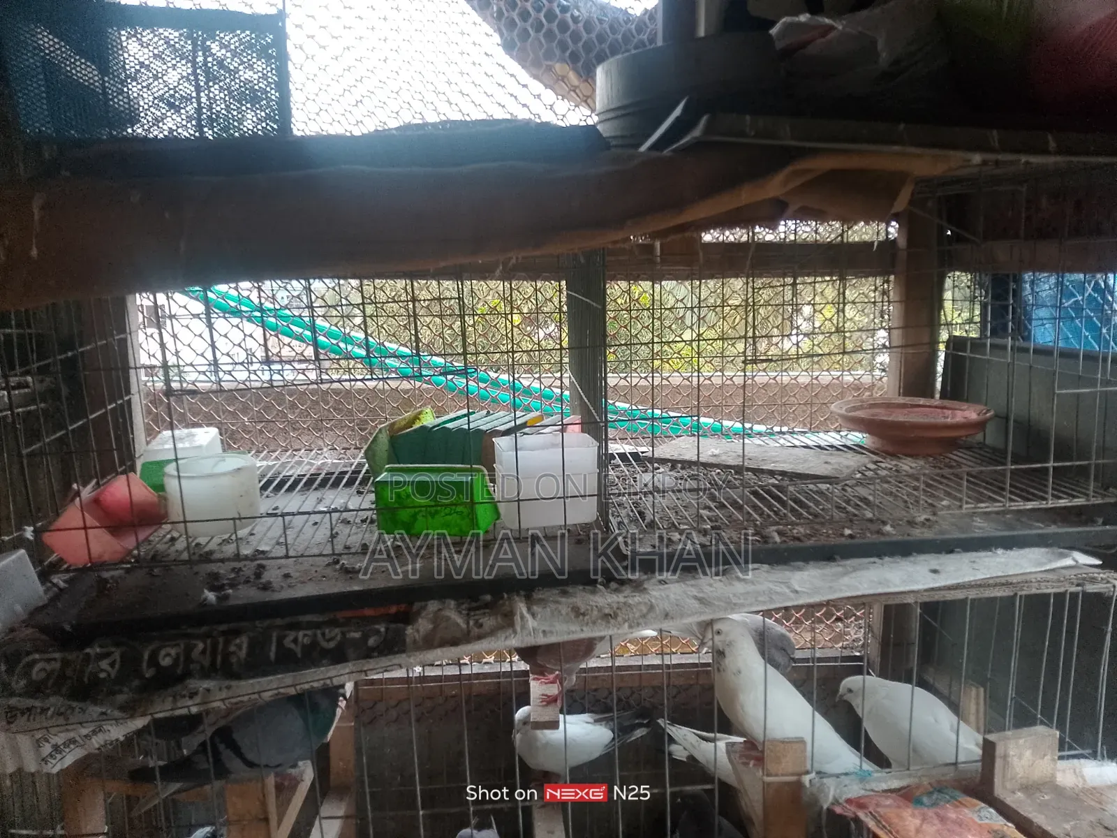 GI Wire Cage
