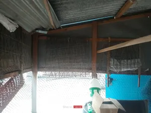 GI Wire Cage