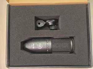 AKG P120 High-Performance Microphone