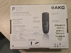 AKG P120 High-Performance Microphone