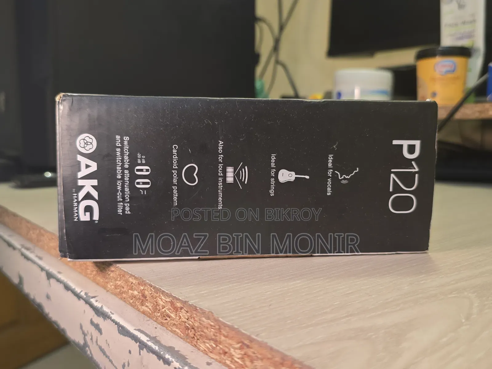 AKG P120 High-Performance Microphone