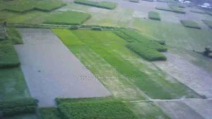 A GPS Drone