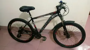 Phoenix 26-inch Gear Cycle for Sale.