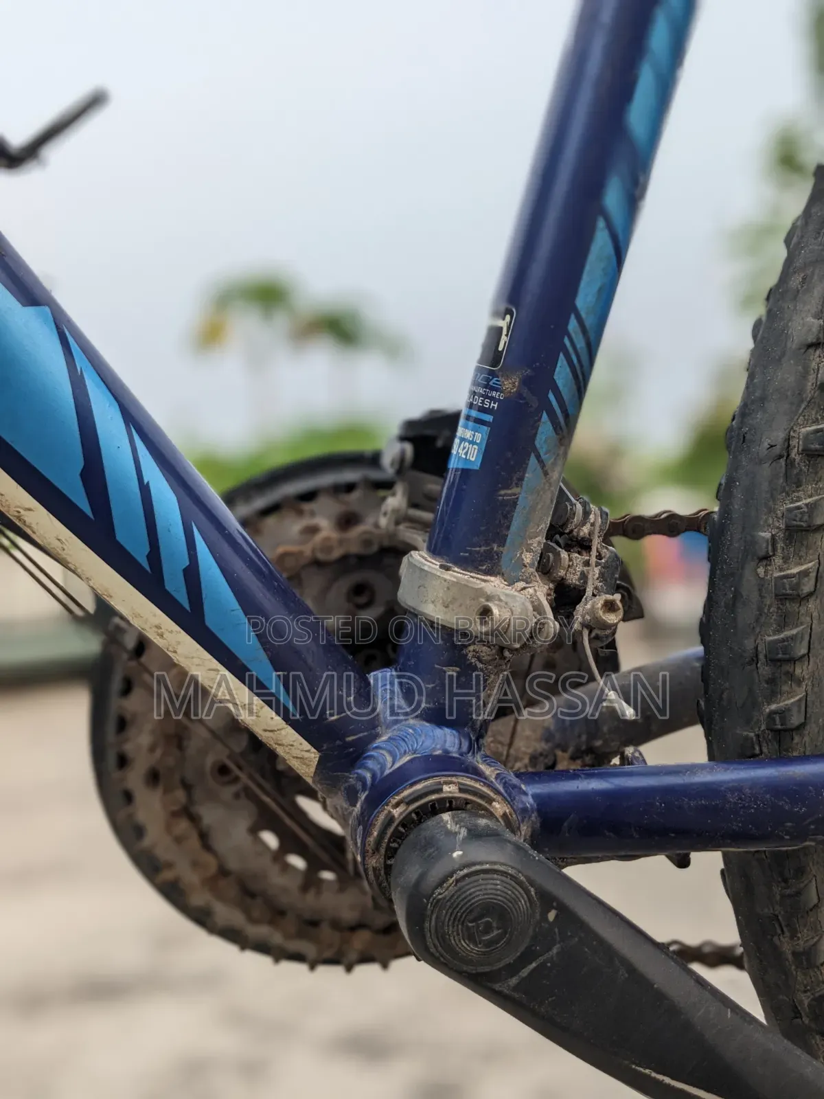 Valoce Outrage 601