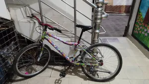 Non-Gear Bicycle for Sale