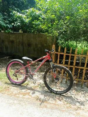 Stunt Cycle Up for Sell
