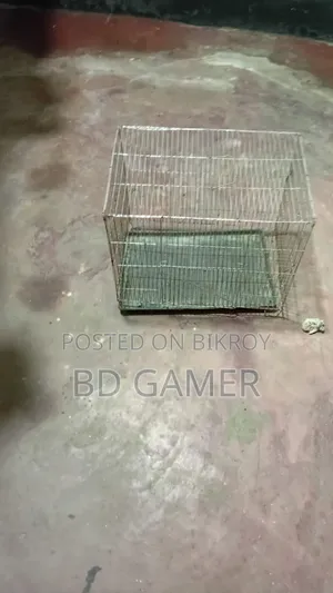 Bird Cage