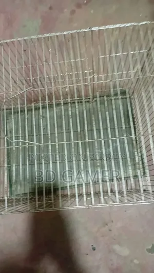 Bird Cage