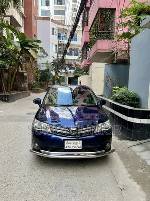 Toyota Axio 2013 Blue