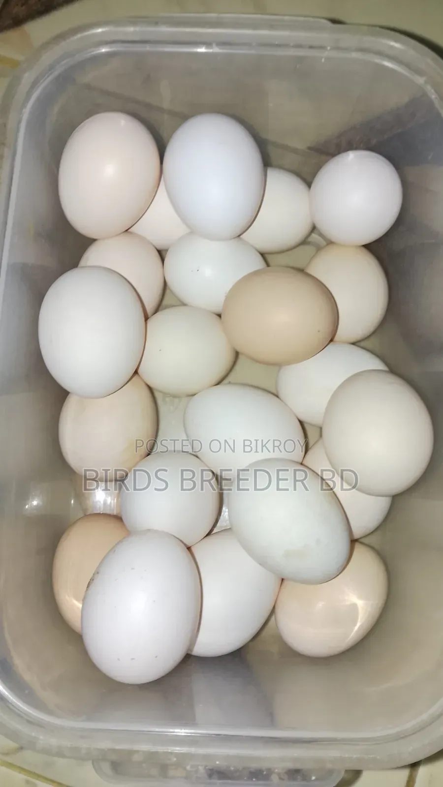 প্রতি হালি ফাওমি মুরগির ডিমের দাম ৭০ টাকা