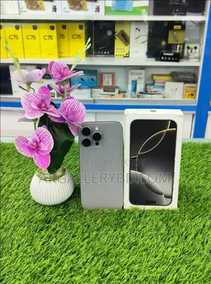 Apple iPhone 16 Pro Max 256 GB Silver