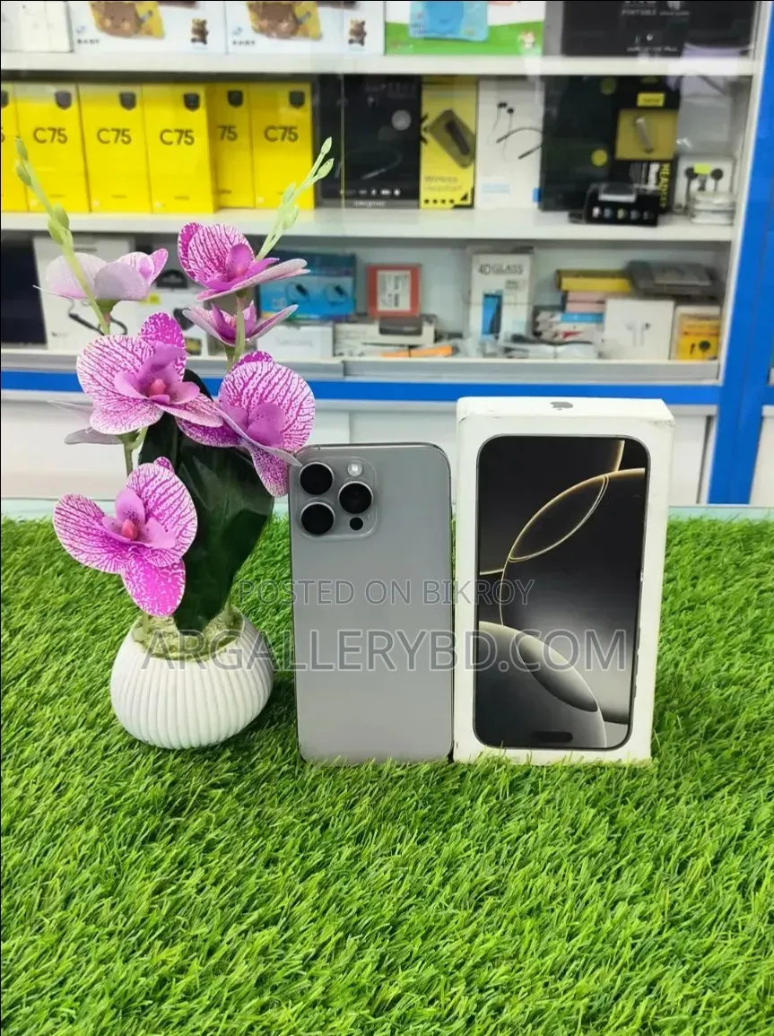 Apple iPhone 16 Pro Max 256 GB Silver