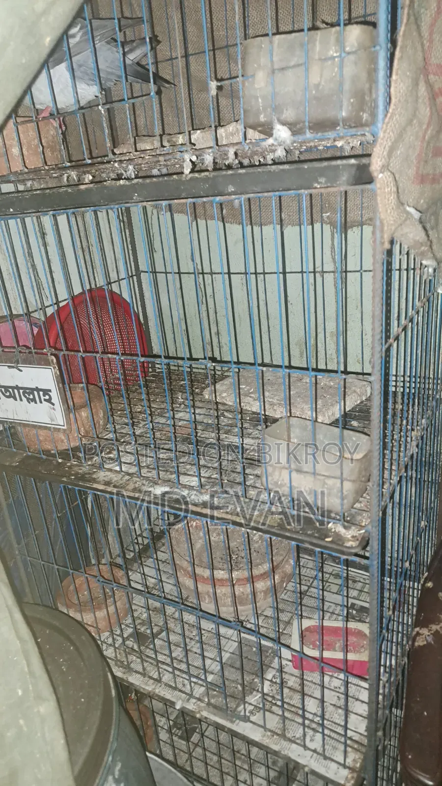 New Condition Cage for Sale at Low Price