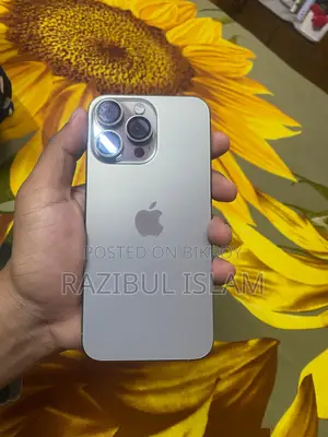 Apple iPhone 15 Pro Max 256 GB Silver