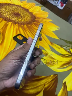 Apple iPhone 15 Pro Max 256 GB Silver