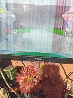 Minister 32" LED TV