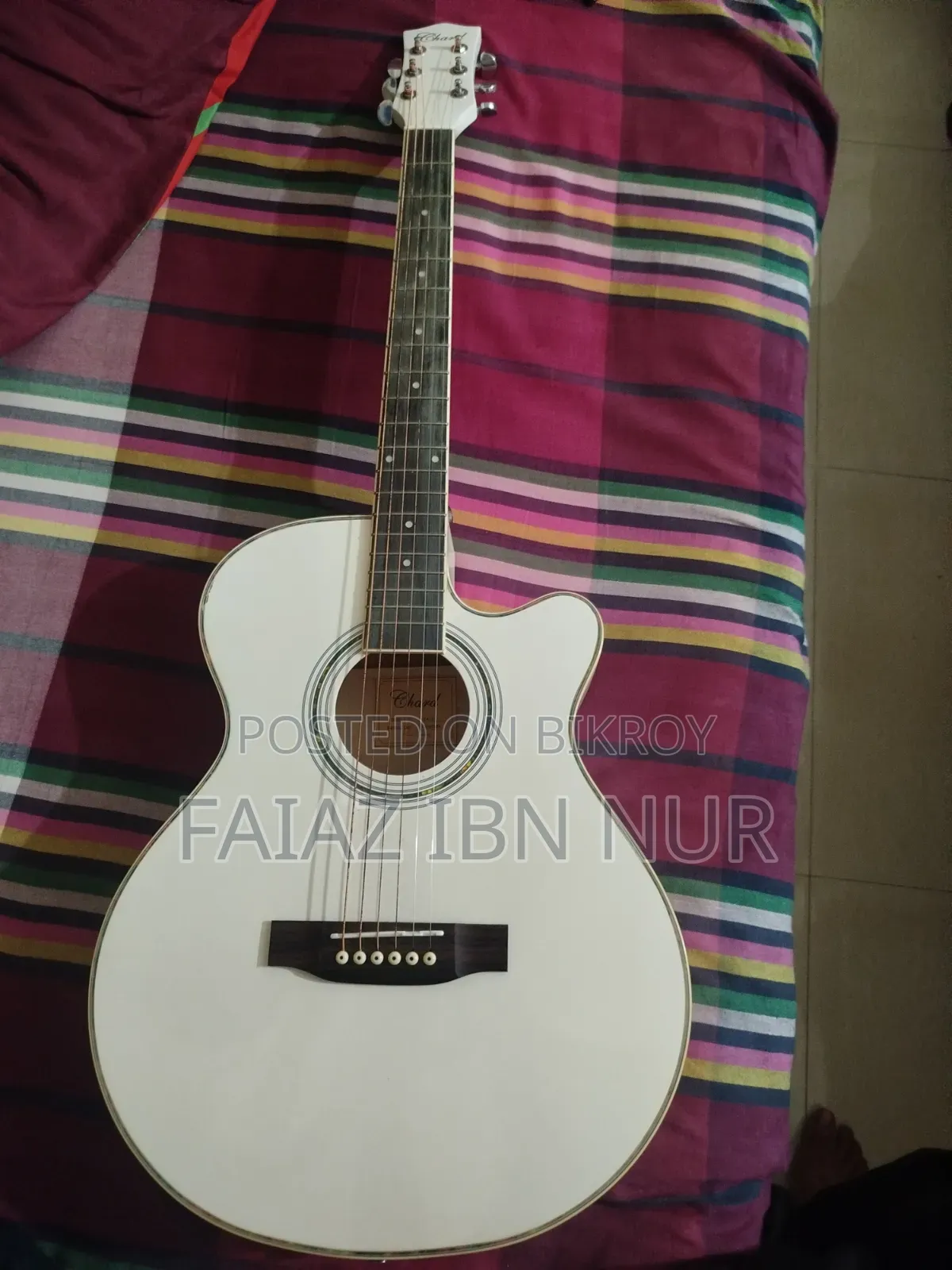 Chard Guitar.