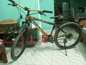 Phoenix Cycle