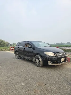 Toyota Corolla Fielder 2007 Black