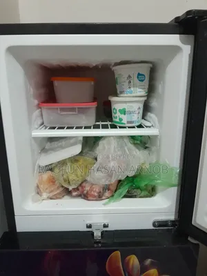 Walton 157L Double Door Refrigerator | 11 Months Used | Excellent Condition