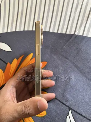 অ্যাপল আইফোন ১৩ প্রো ১২৮ জিবি গোল্ড