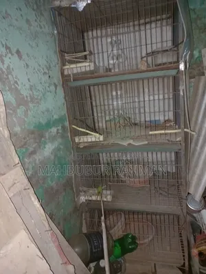 চার খোপের কবুতরের খাঁচা প্যাকেজ ১৫ পিচের