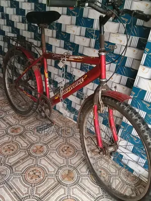 Bicycle Sell
