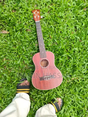 Zealux Ukulele