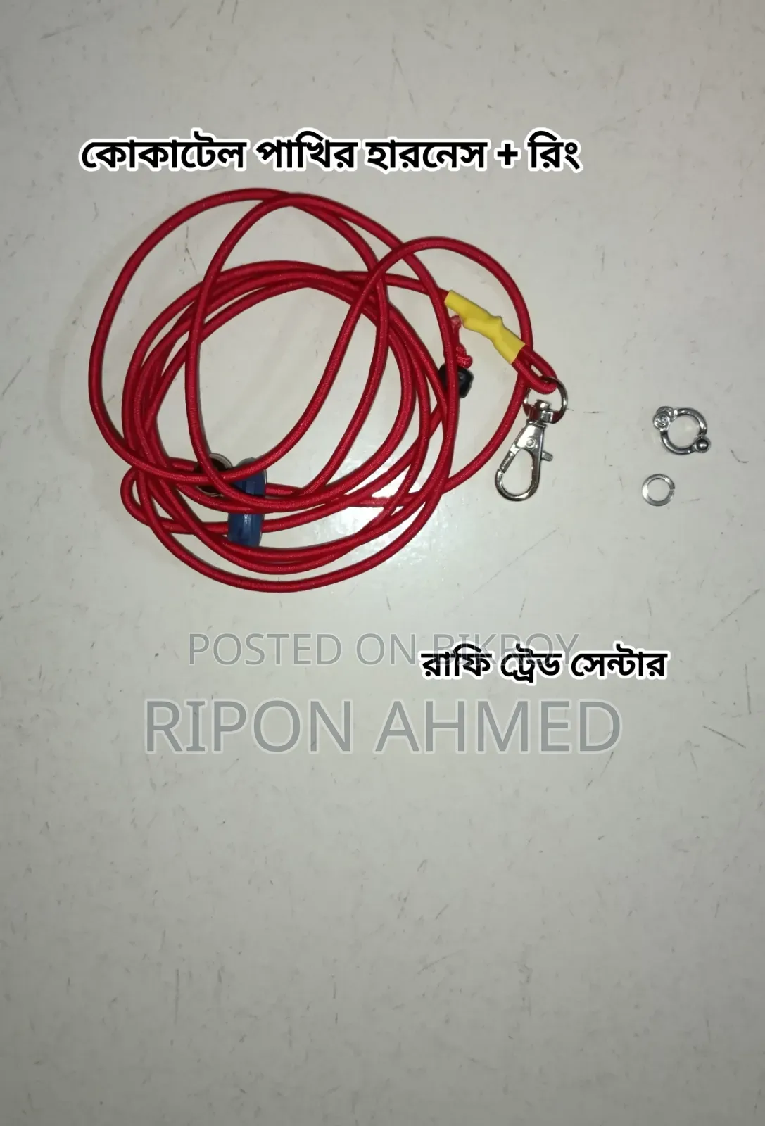 Rubber Harness With Leg Rings for Birds