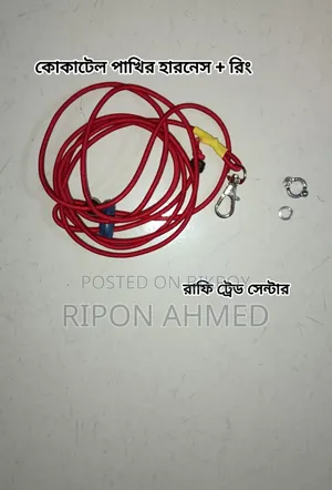 Rubber Harness With Leg Rings for Birds