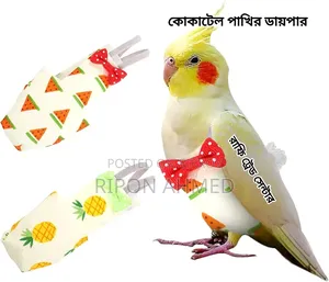 Diaper Cockatiel Birds