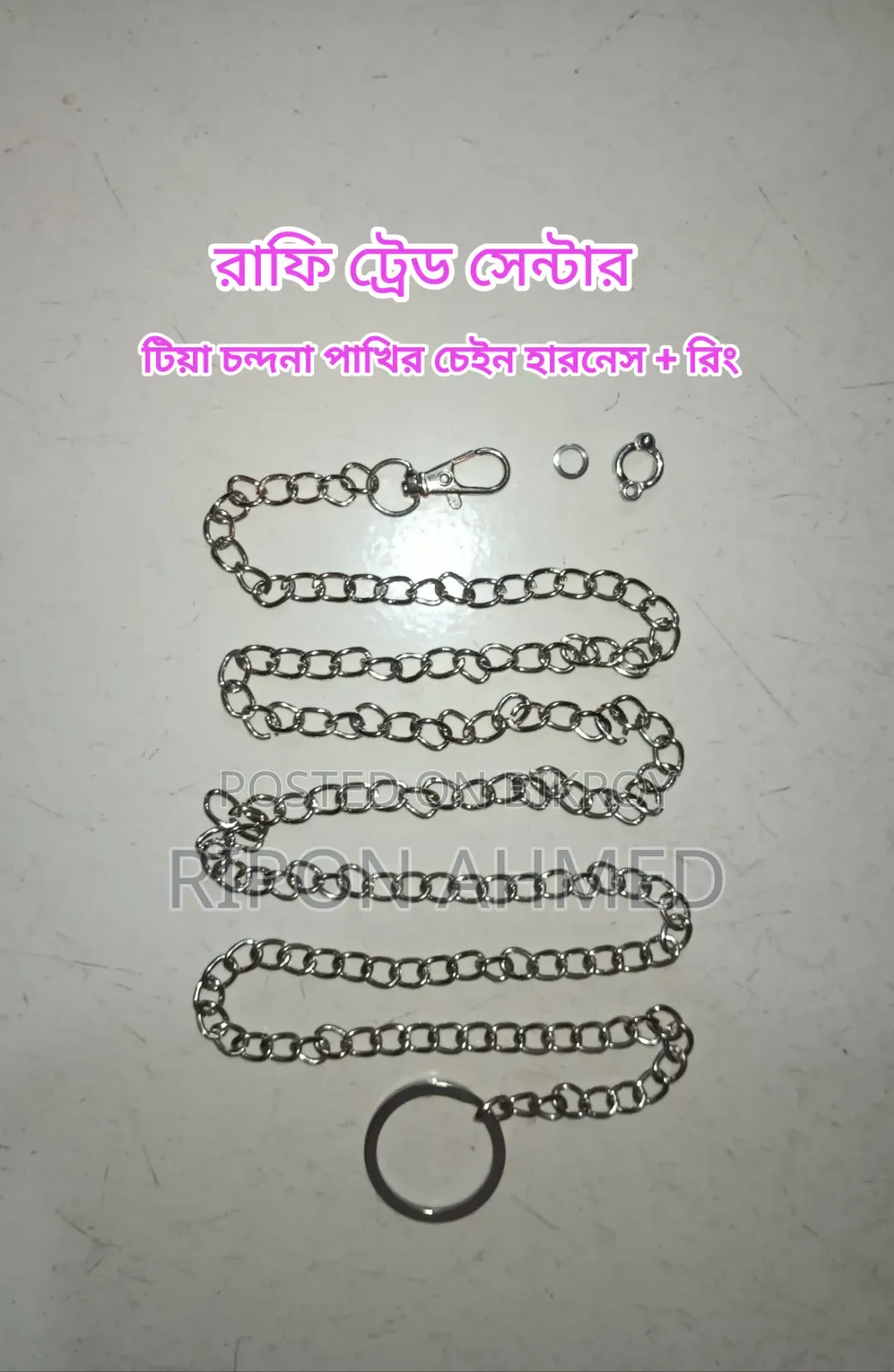 Chain Harness With Leg Rings for Bird