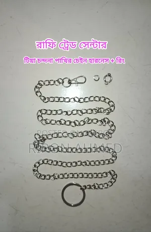 Chain Harness With Leg Rings for Bird
