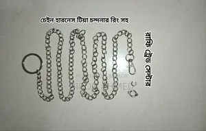 Chain Harness With Leg Rings for Bird