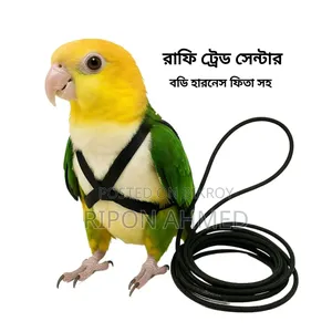 Full Body Harness or Laces for Birds (Free Size)