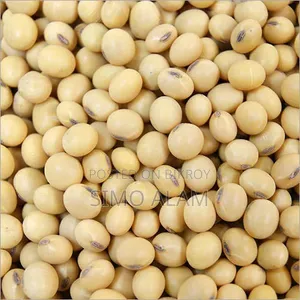 Soybean Seeds