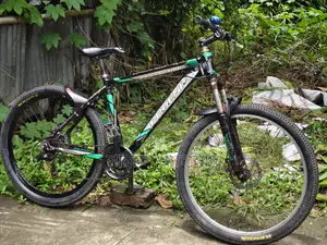Aluminum Bicycle