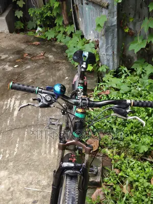 Aluminum Bicycle