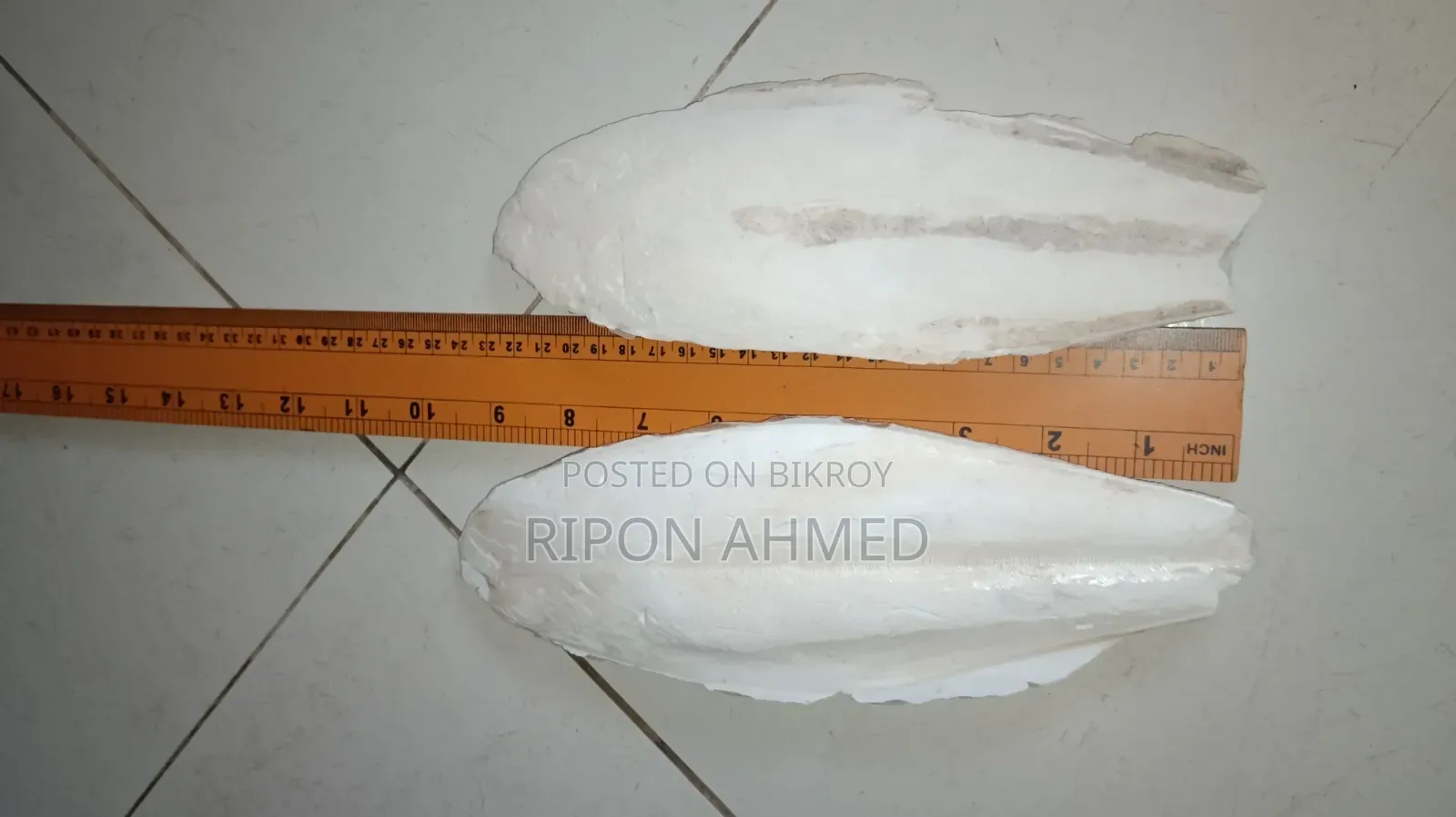 Cuttlefish Bone for Birds 100g