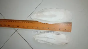 Cuttlefish Bone for Birds 100g