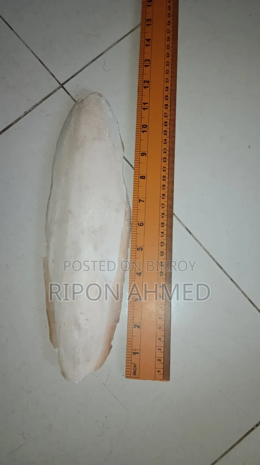 Cuttlefish Bone for Birds 100g