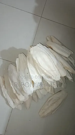 Cuttlefish Bone for Birds 100g
