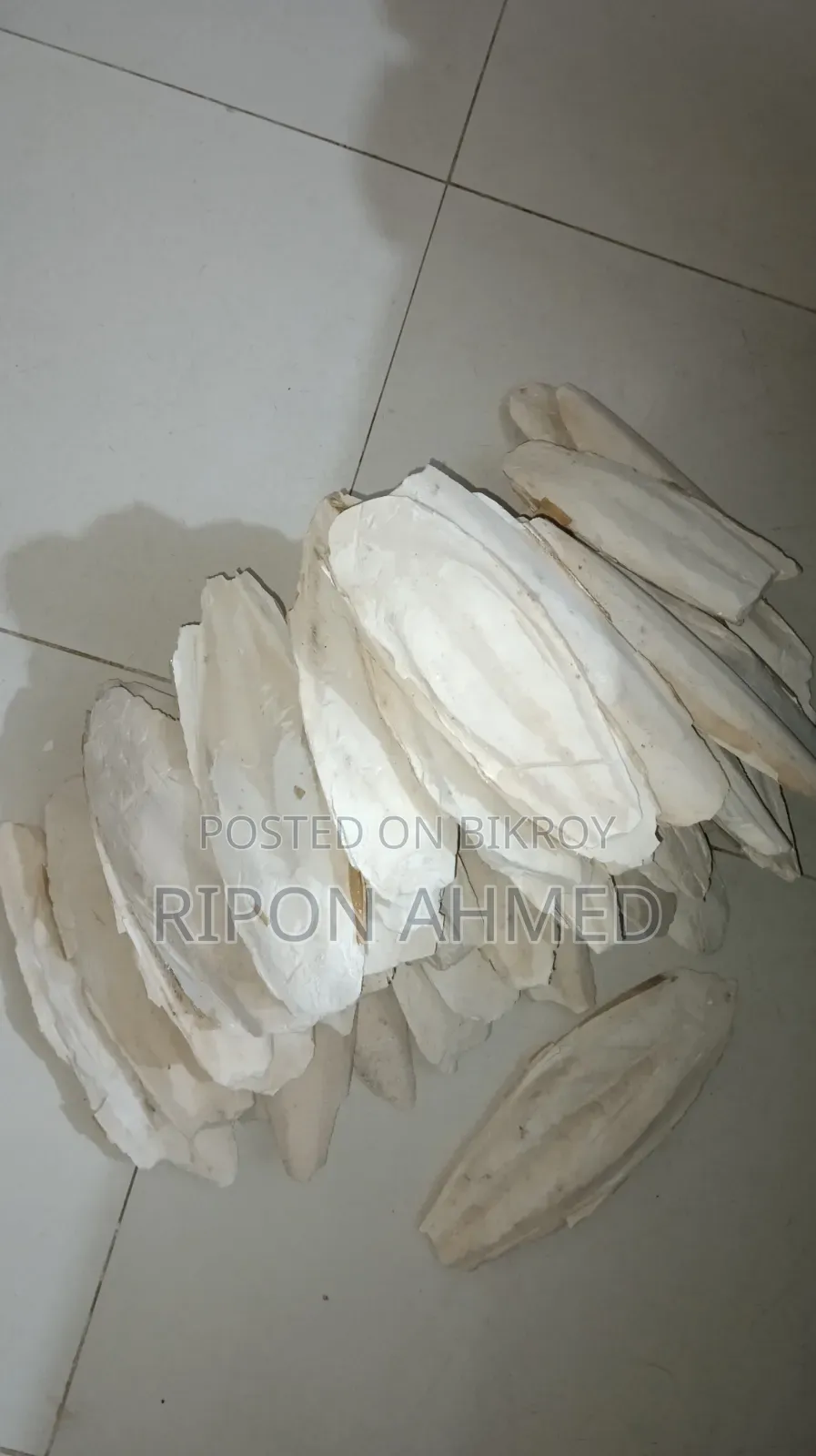 Cuttlefish Bone for Birds 100g