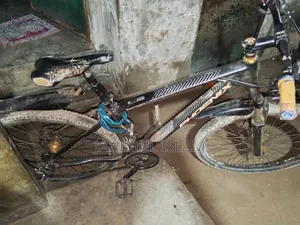 New Bicycle