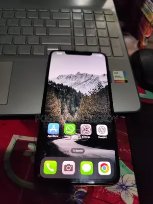 অ্যাপল আইফোন এক্সএস ম্যাক্স ২৫৬ জিবি গোল্ড