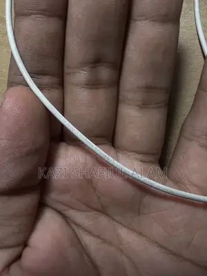 Apple Original Lightning Earphones