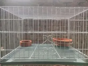 Want to buy bird cage