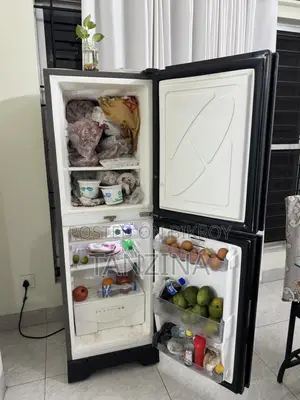 Walton Refrigerator WFD-1f3 (176 Litre) – Very Good Condition