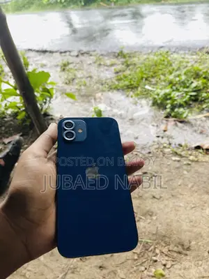 Apple iPhone 12 256 GB Blue