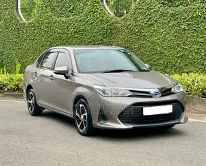 Toyota Axio 2018 Silver